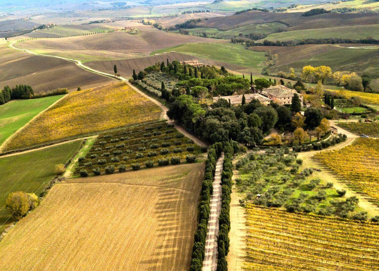 Villa Buonsignori - Wine & Olive Oil Farm 코르사노 외부 사진