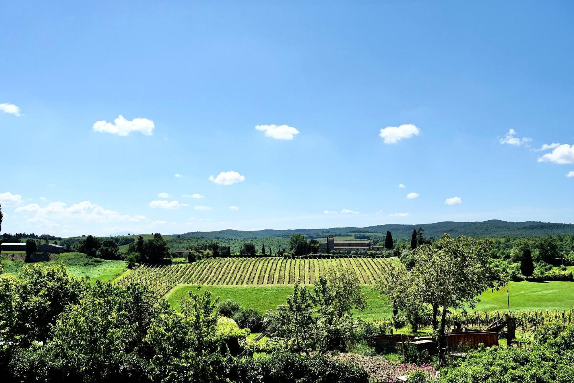 Villa Buonsignori - Wine & Olive Oil Farm 코르사노 외부 사진